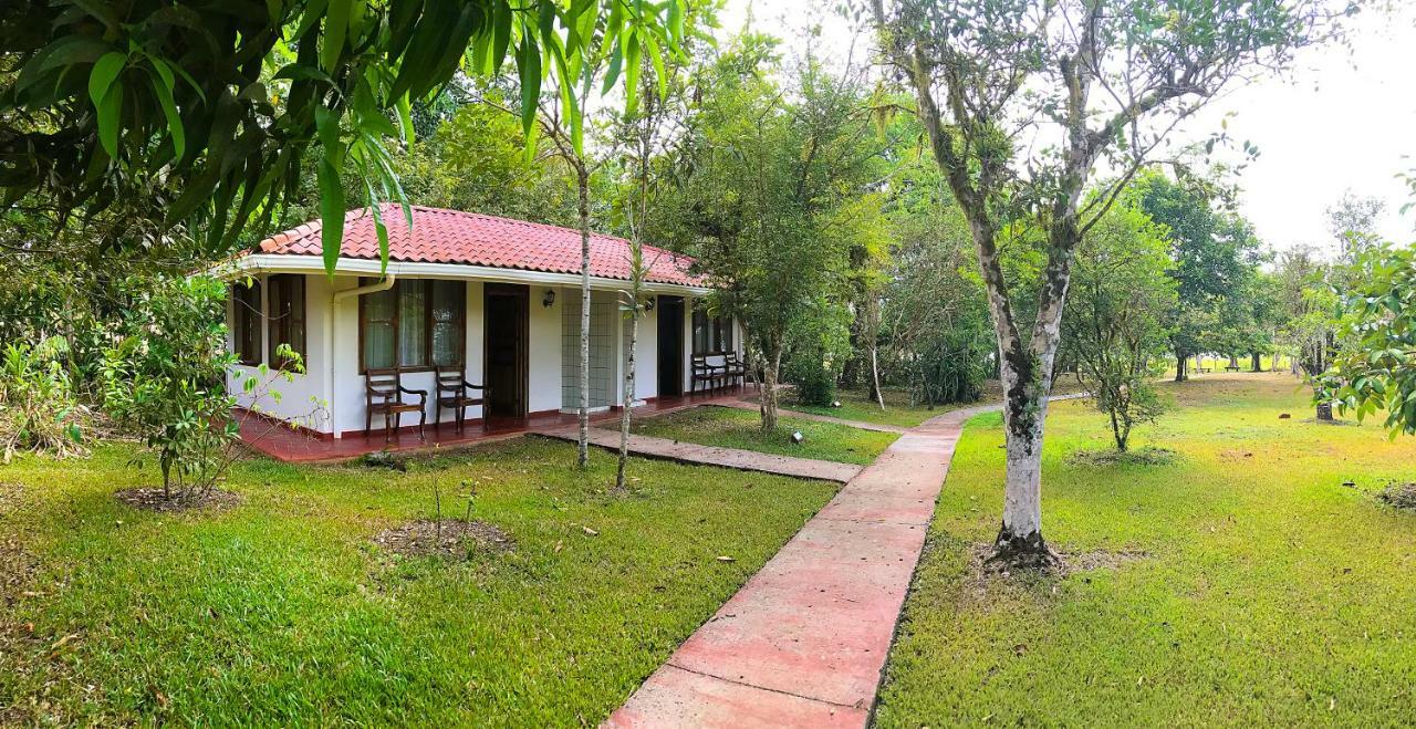 Hotel De Campo Caño Negro Exterior foto